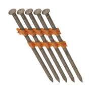 GRIP-RITE Grip-Rite GR071M Full Round Head Framing Nail  2.38 in. x 0.113 2394930